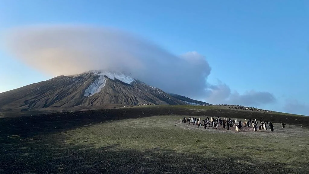 Counting one and a half million penguins. — Vinson of Antarctica